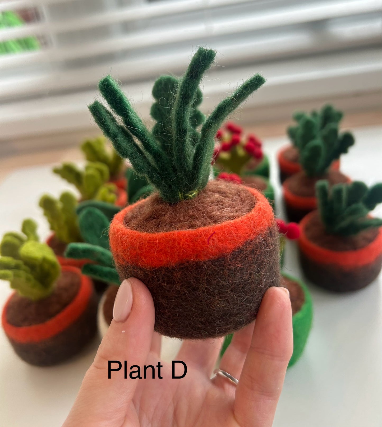 Potted plants