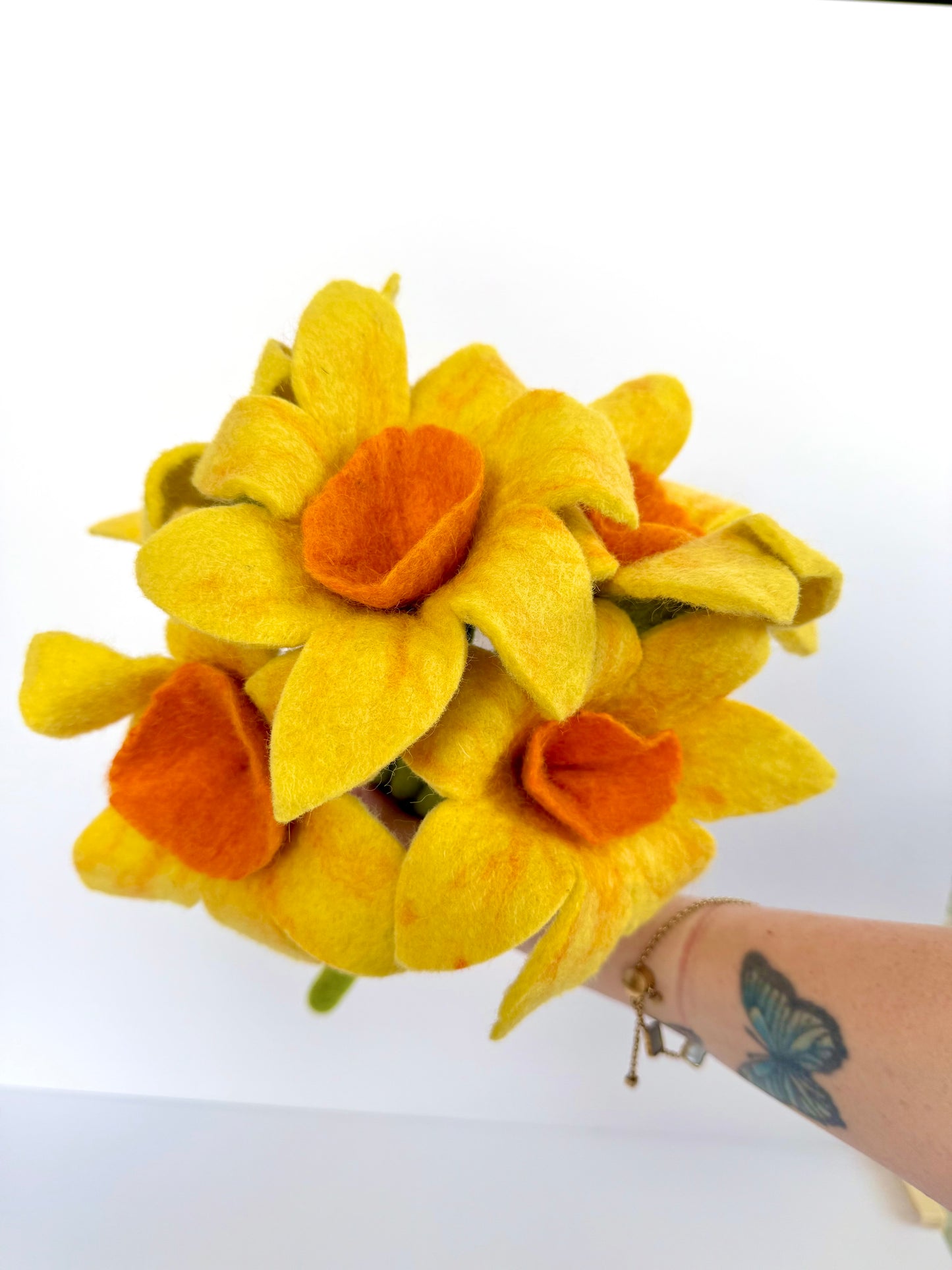 Yellow Daffodil