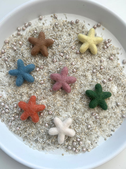 Felt star loose parts
