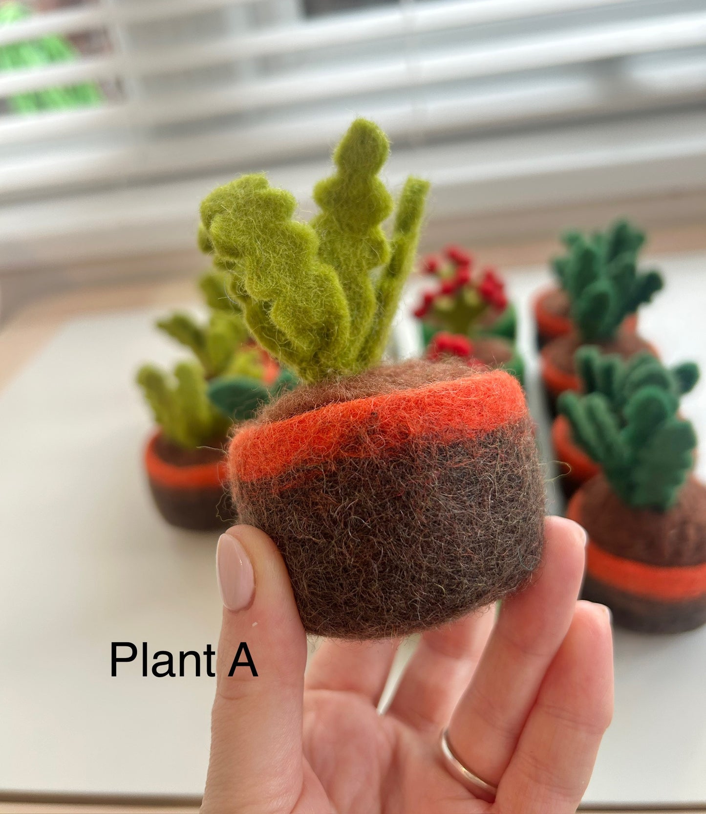 Potted plants