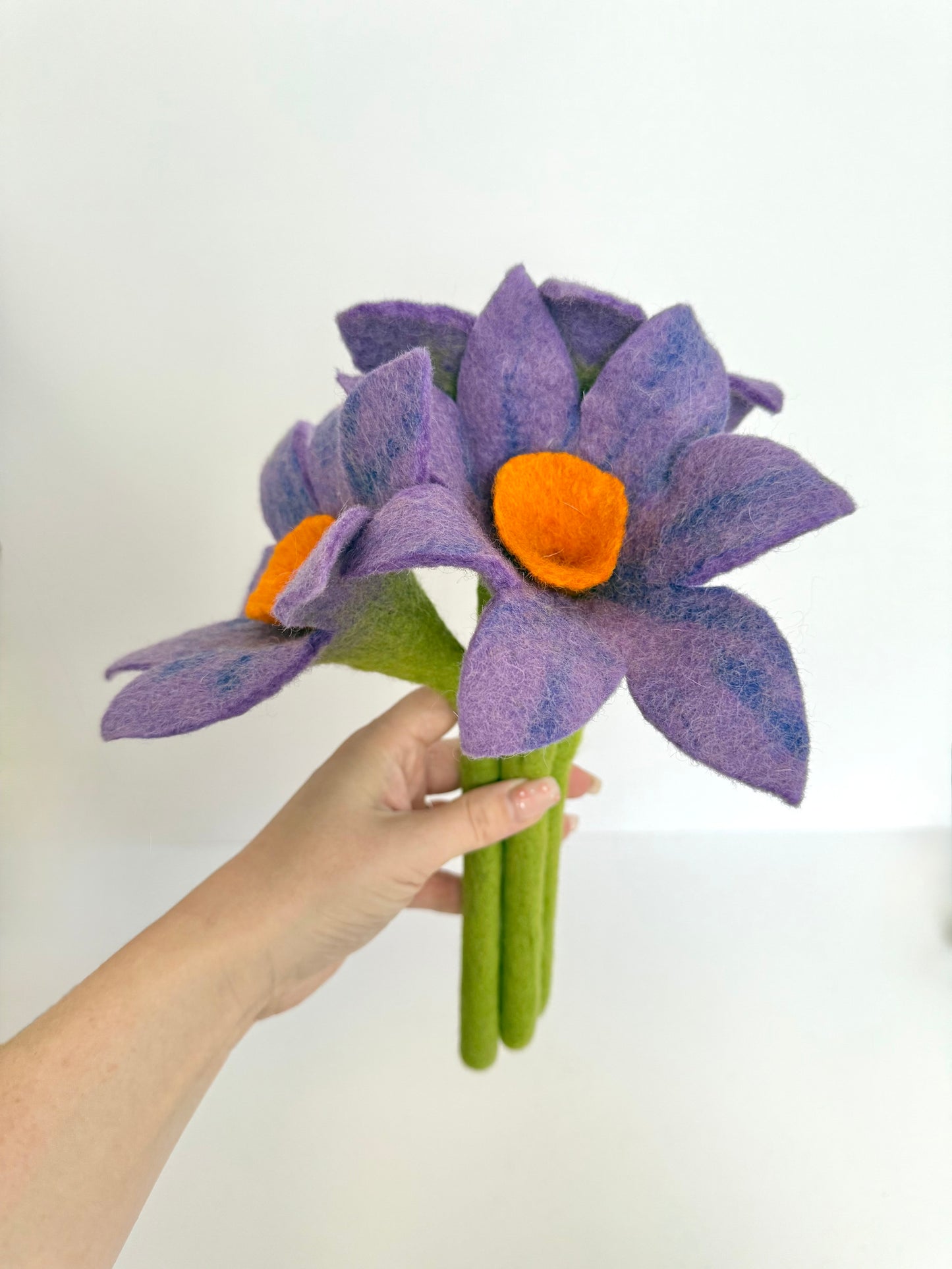 Purple Daffodil