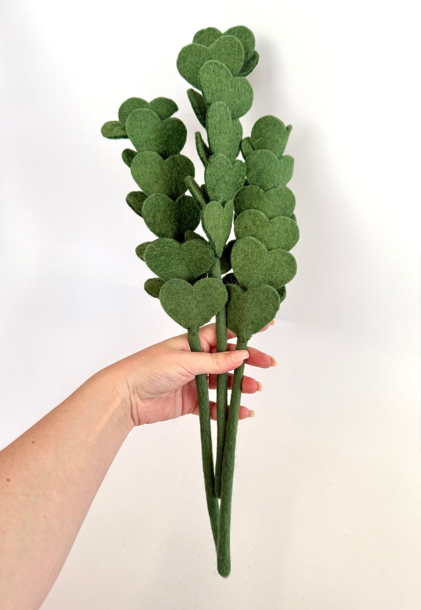 Eucalyptus