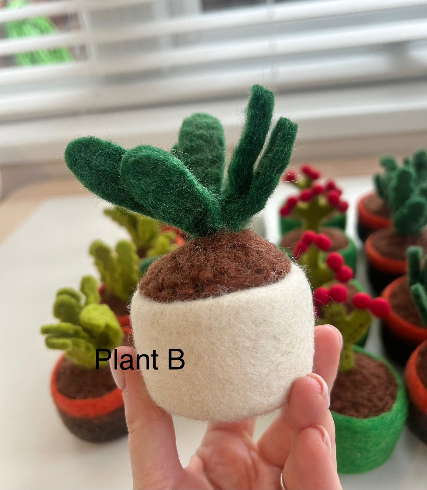 Potted plants