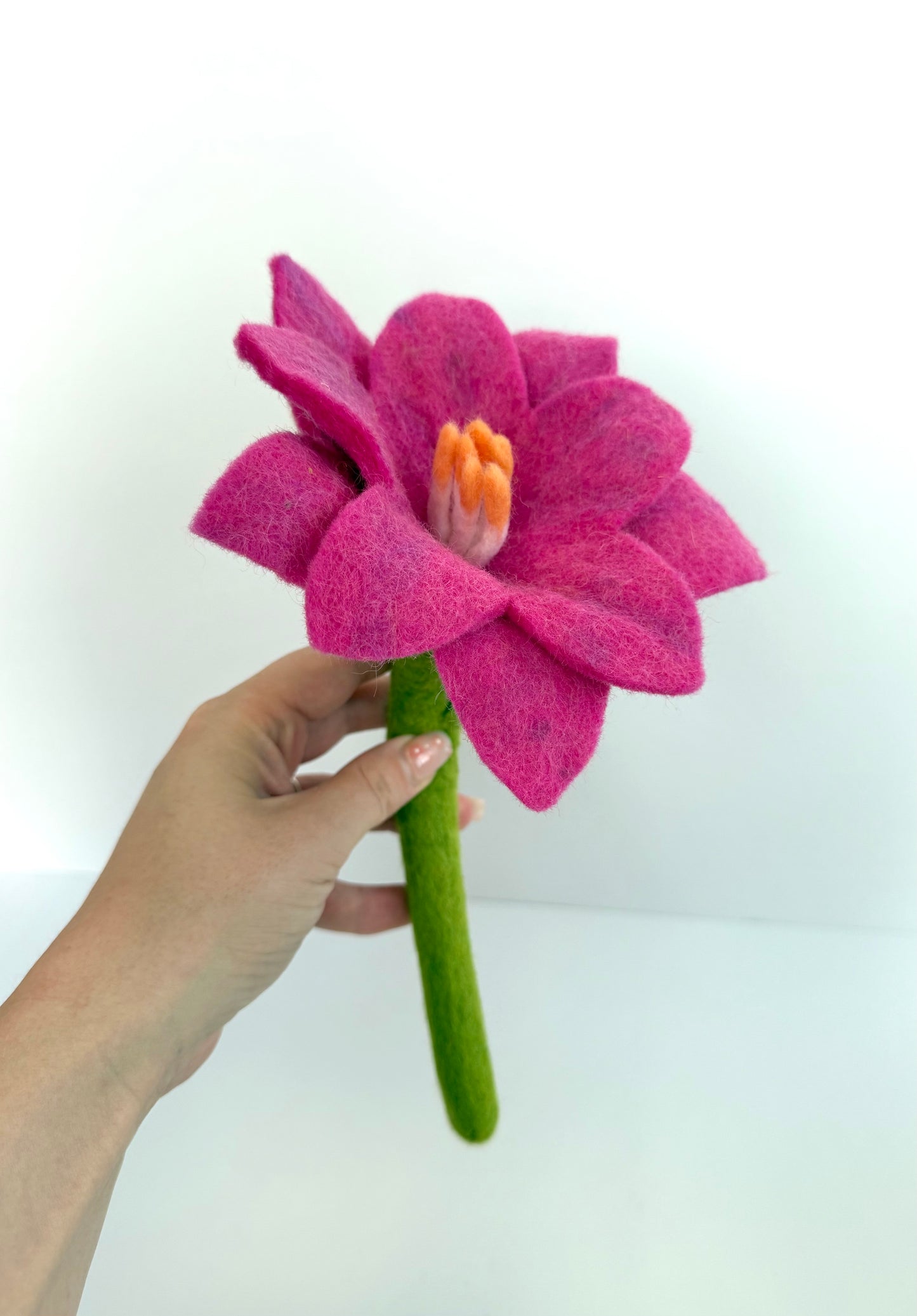 Wild flower
