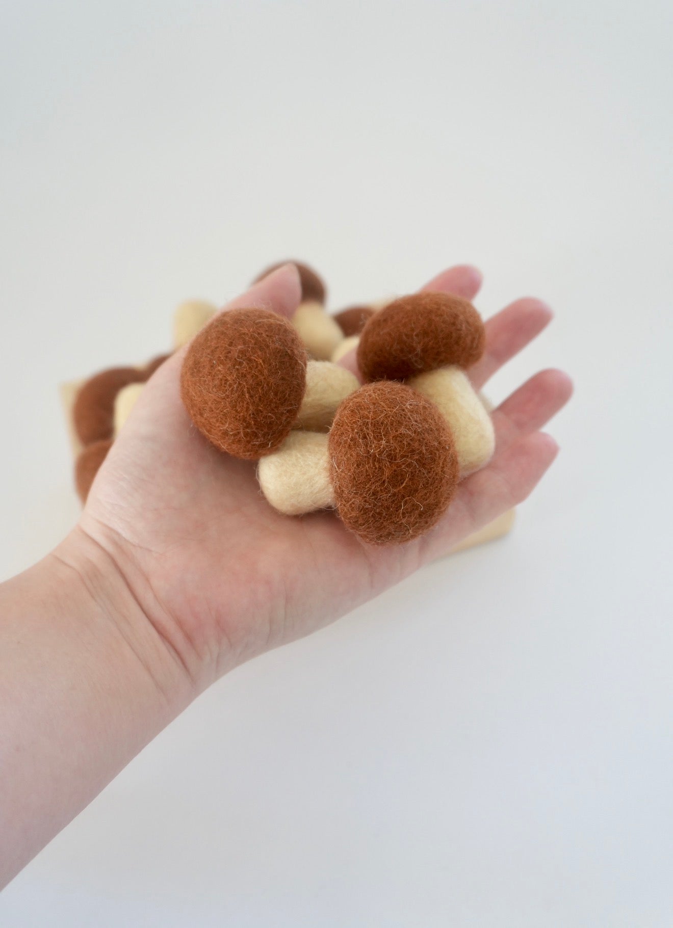 Felt Mushrooms set of 3
