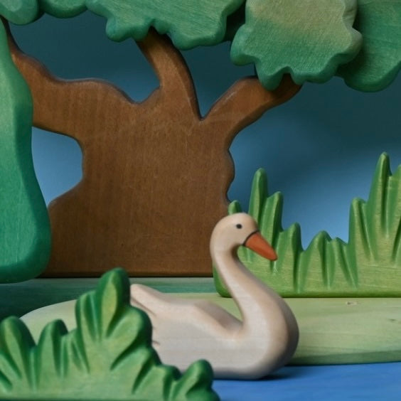 Swan