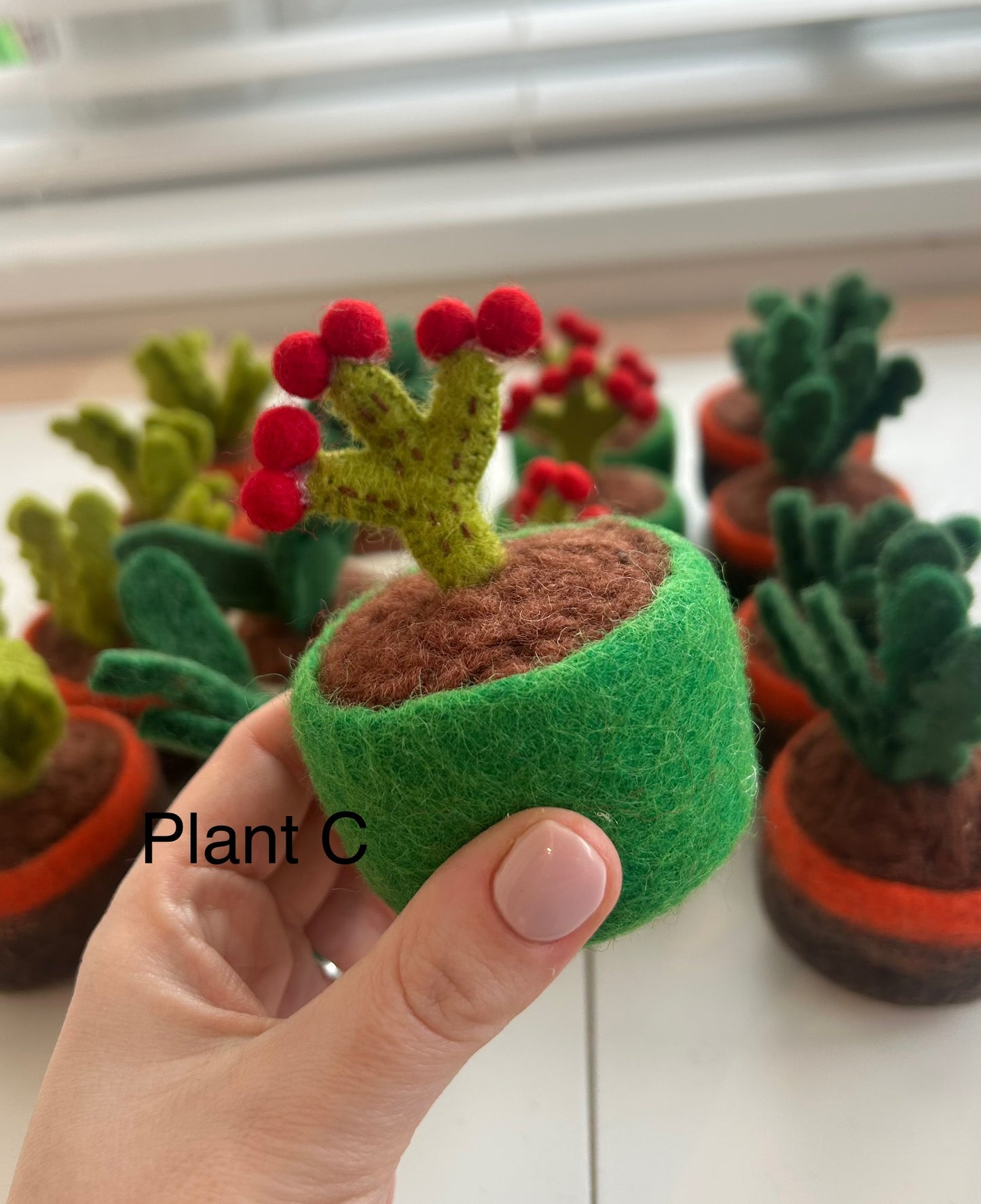 Potted plants