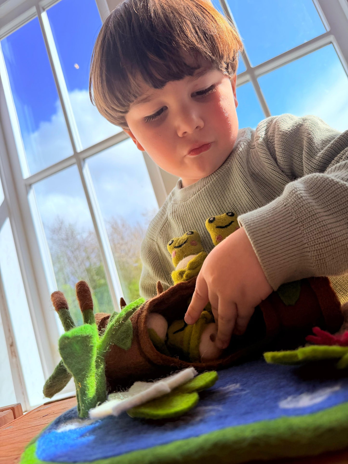 5 speckled frog felt play set