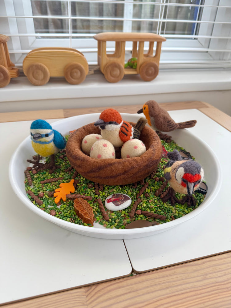 Bird collection