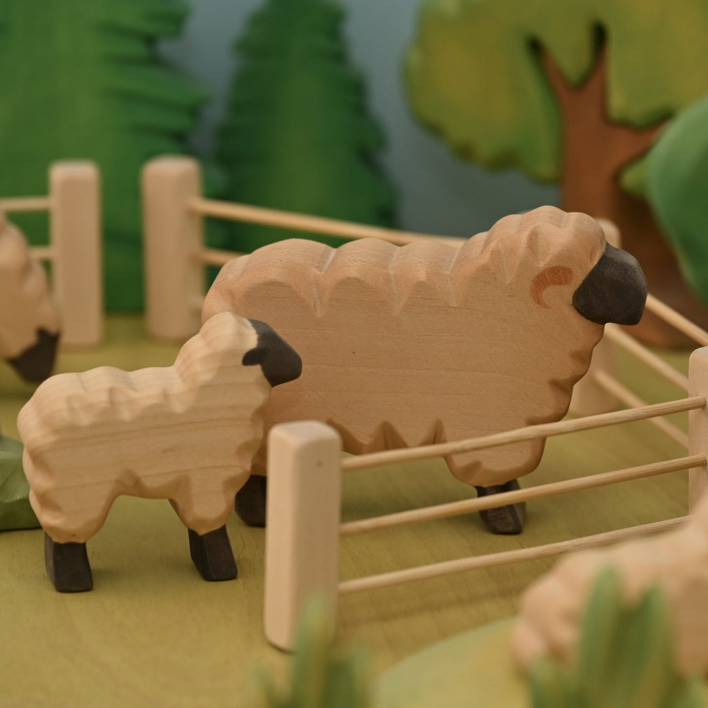 Lamb standing