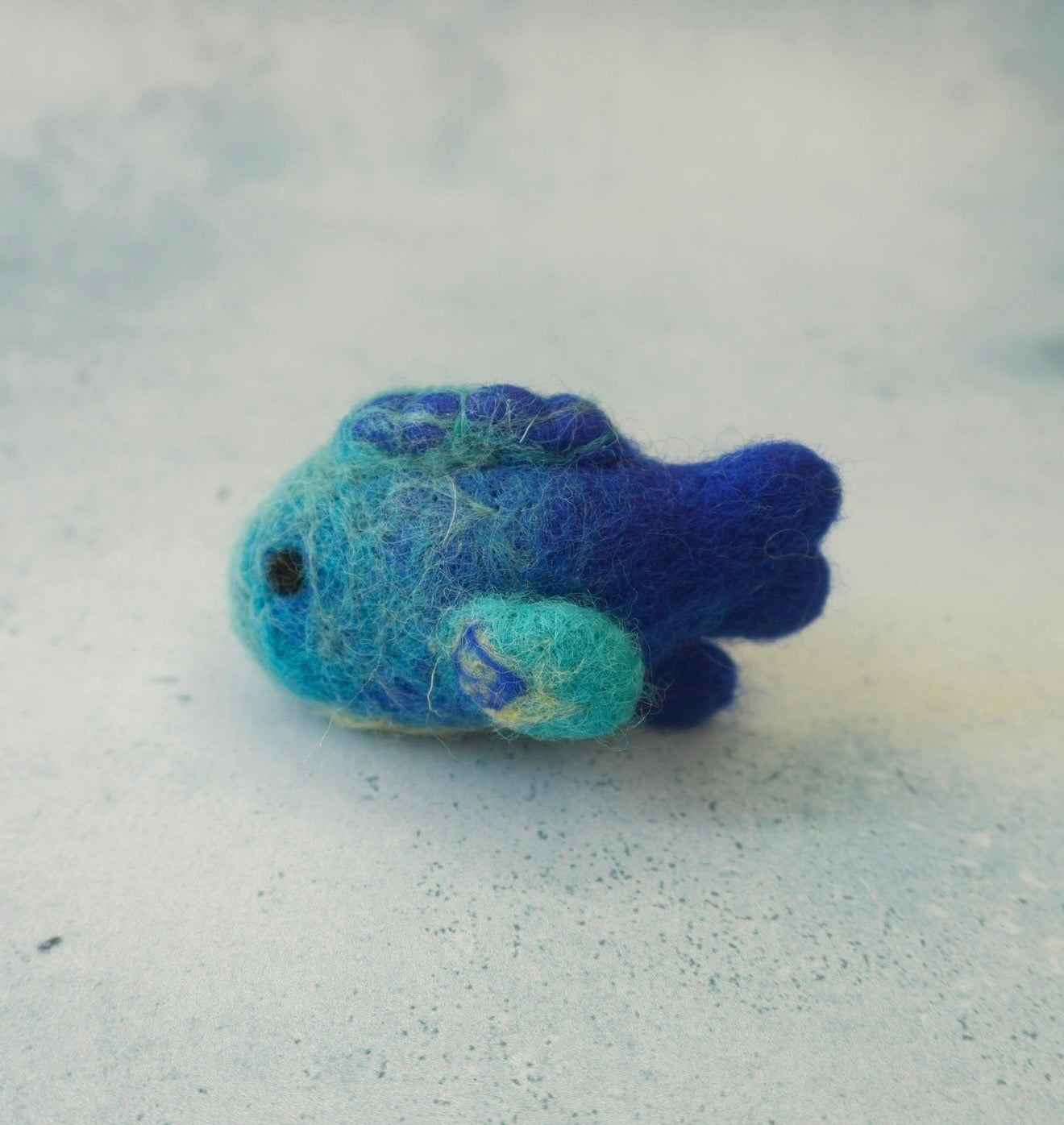 Blue felt Parrotfish