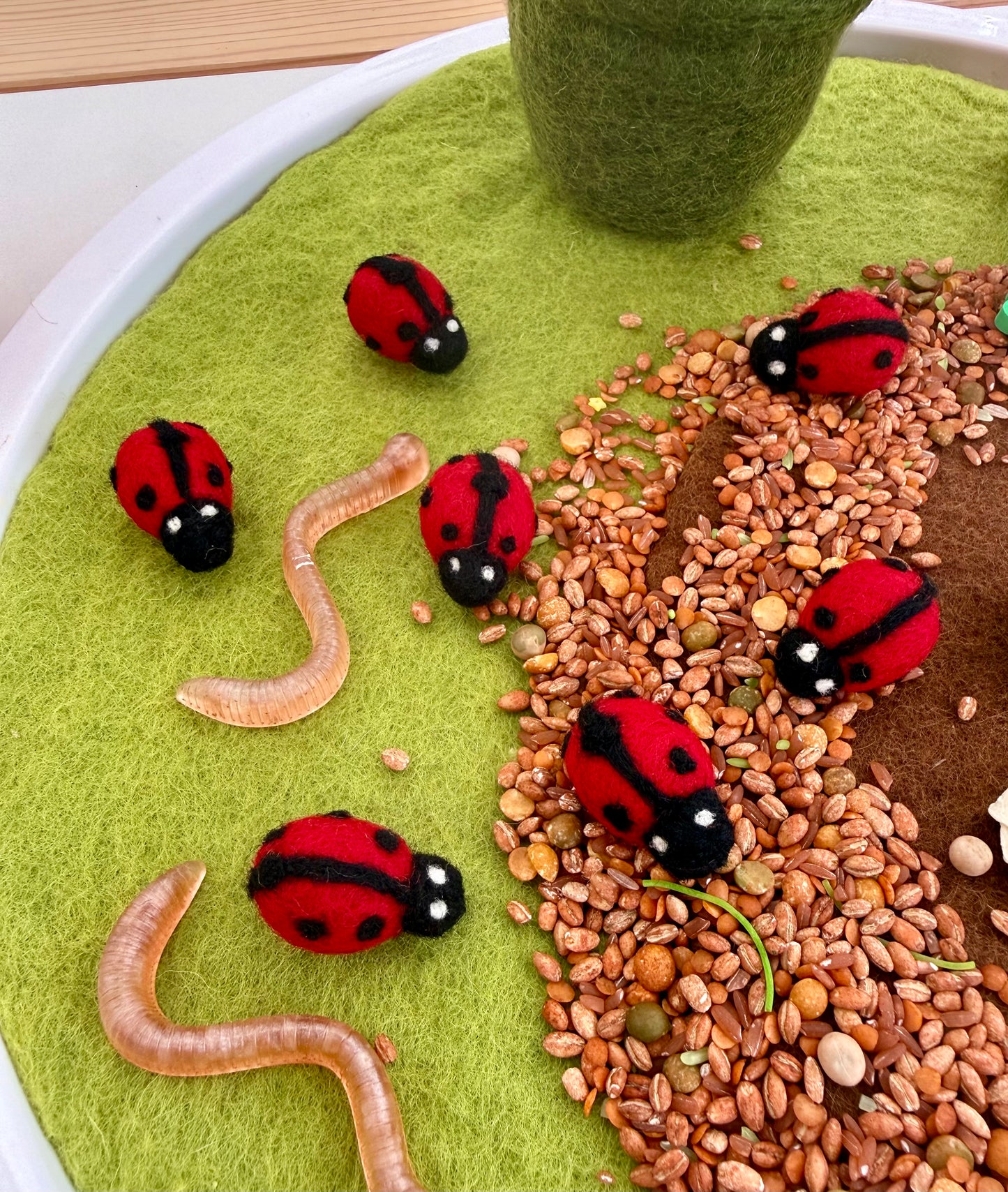 Felt Lady bird