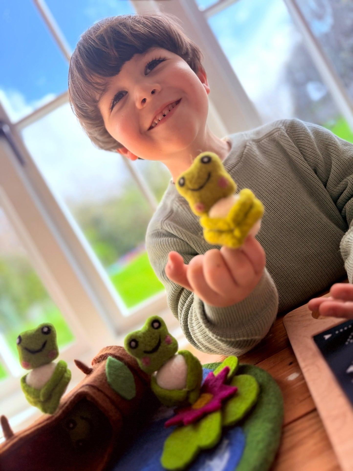 5 speckled frog felt play set