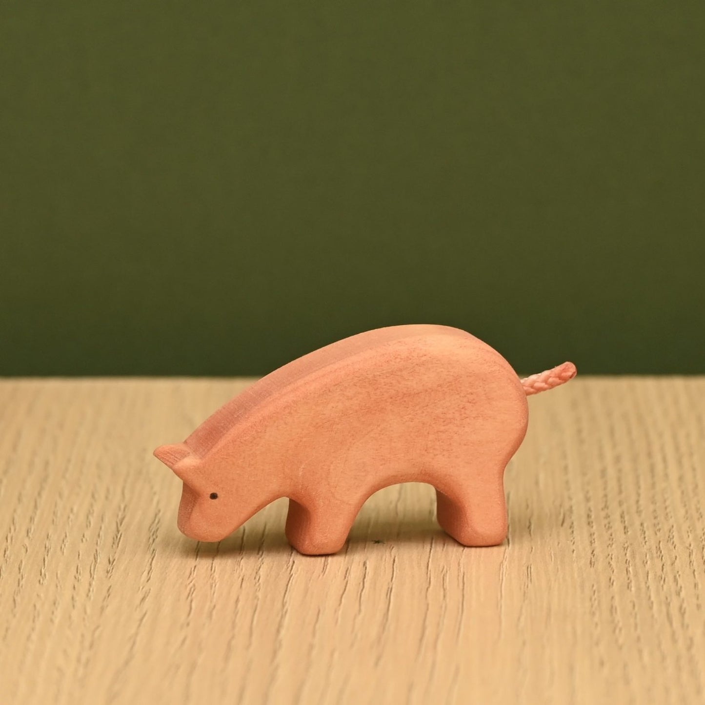 Piglet eating
