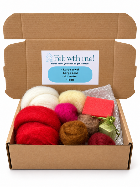 Mushroom wet felting kit