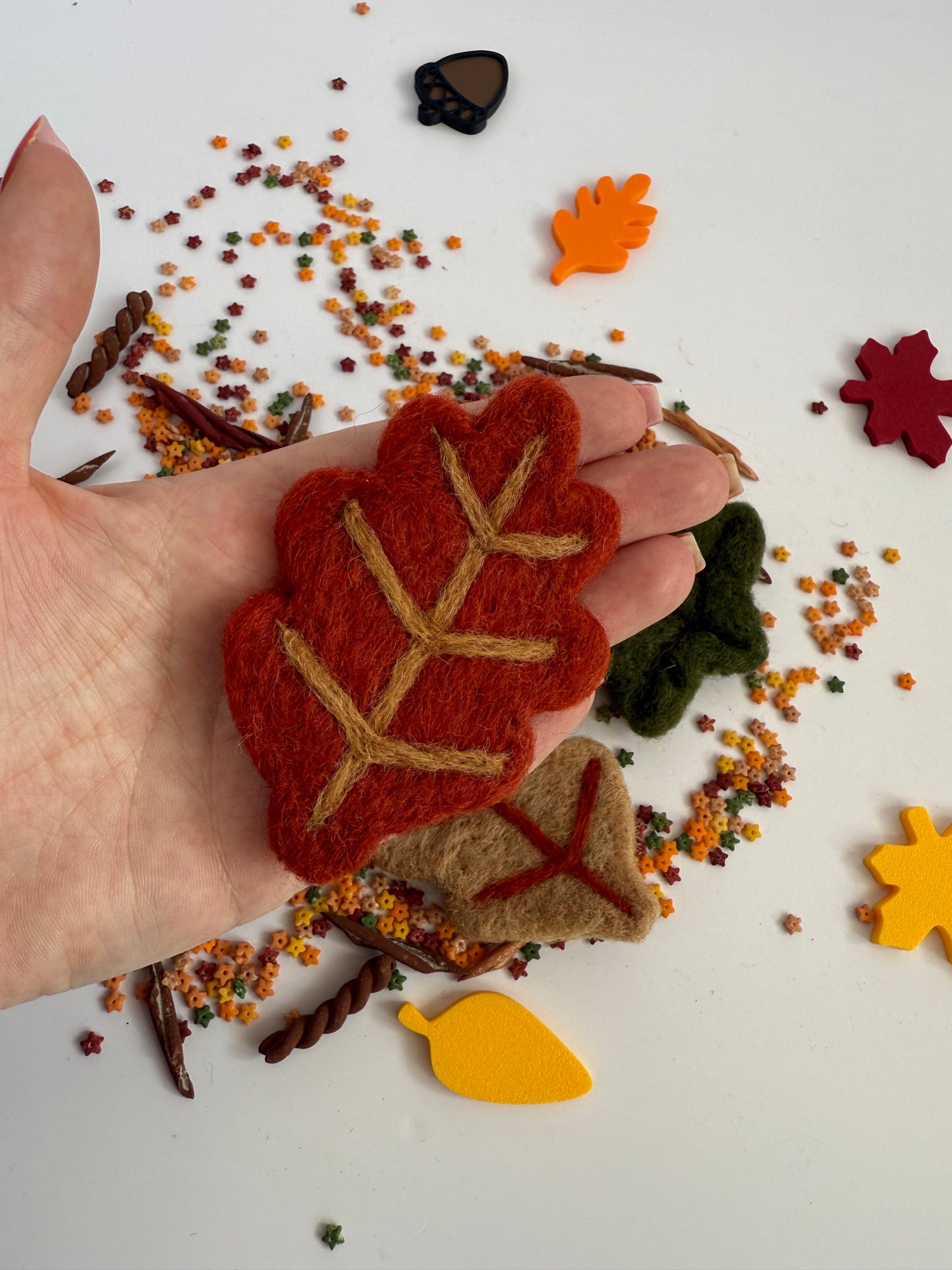 Autumn leaves set
