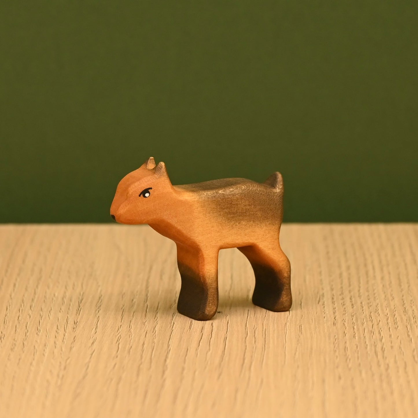 Small goat standing