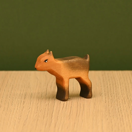 Small goat standing