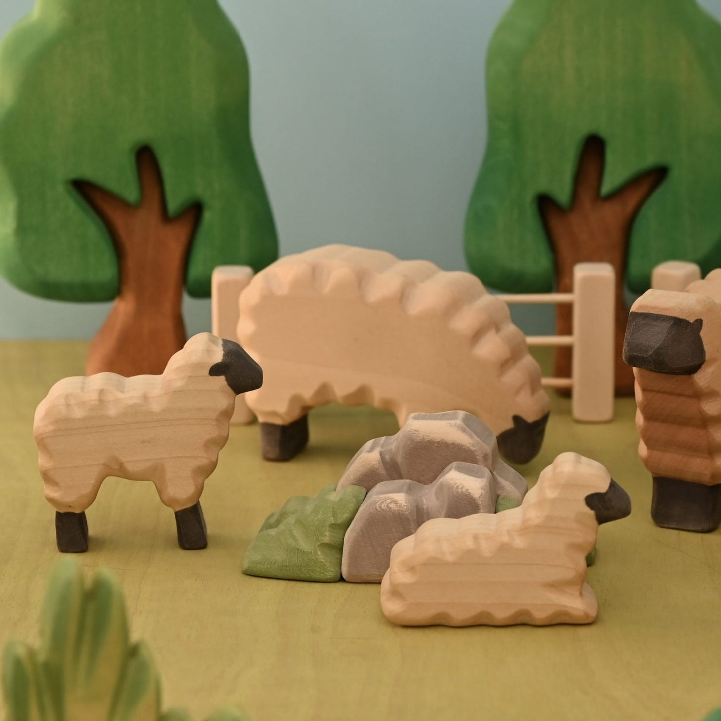 Sheep eating