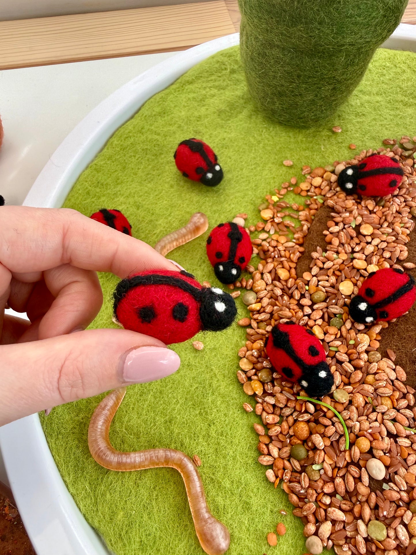 Felt Lady bird