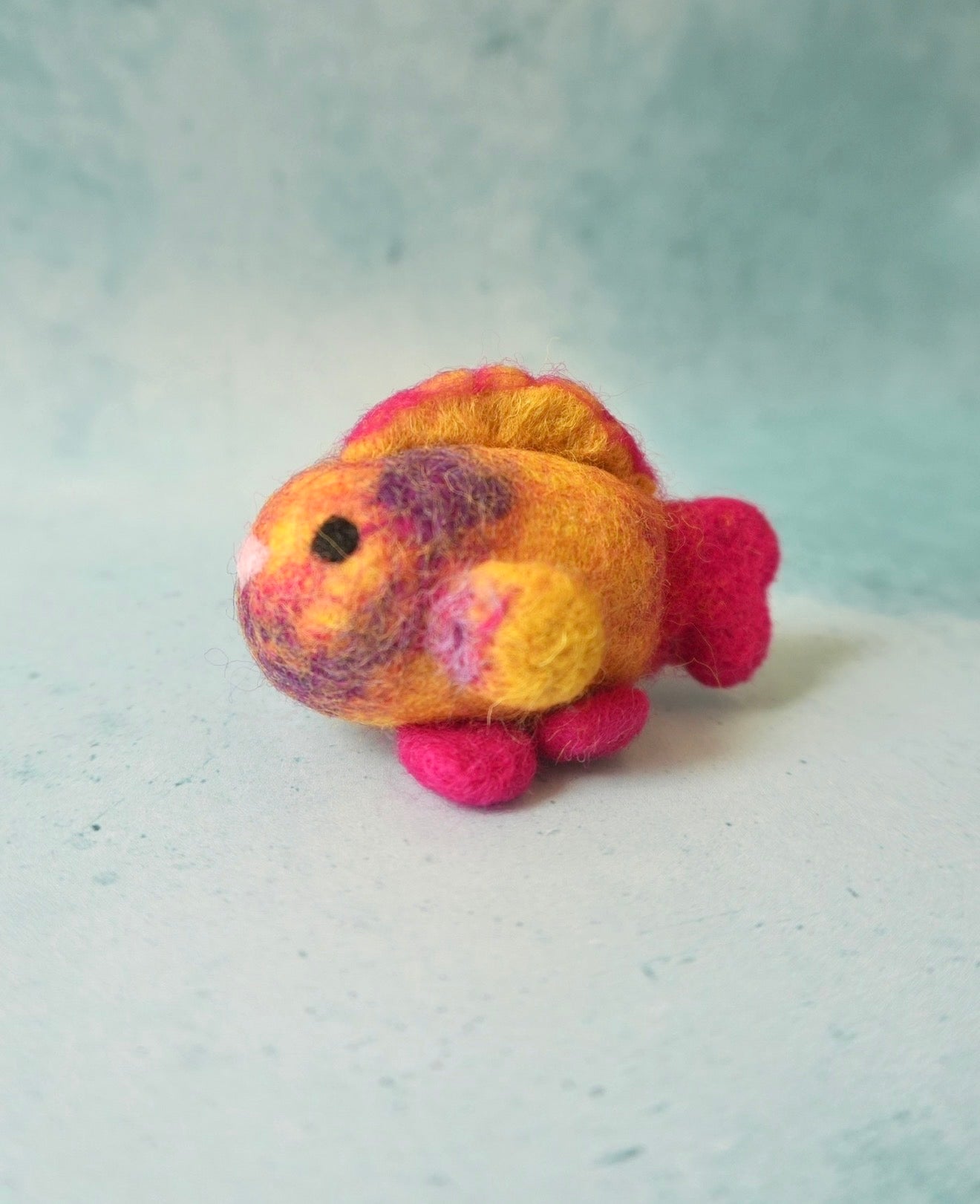 Pink felt Parrotfish