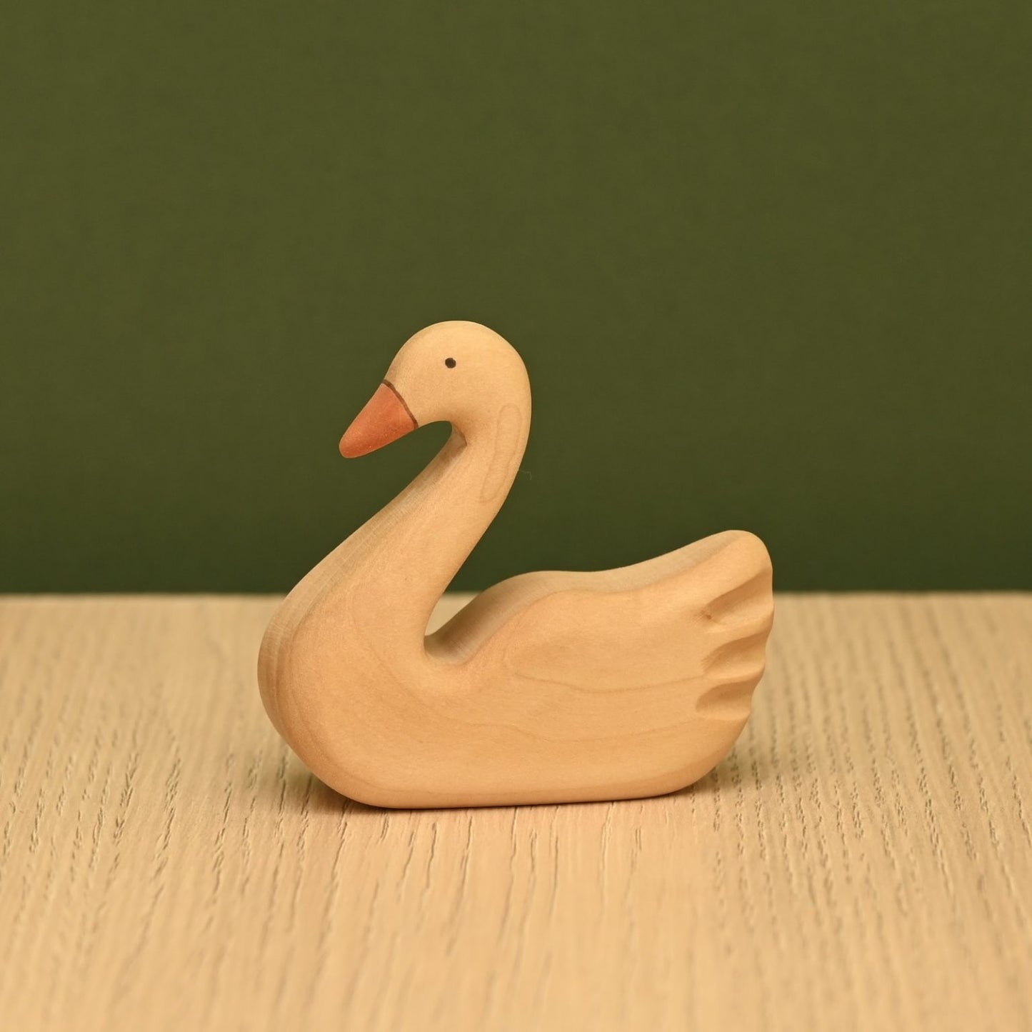 Swan