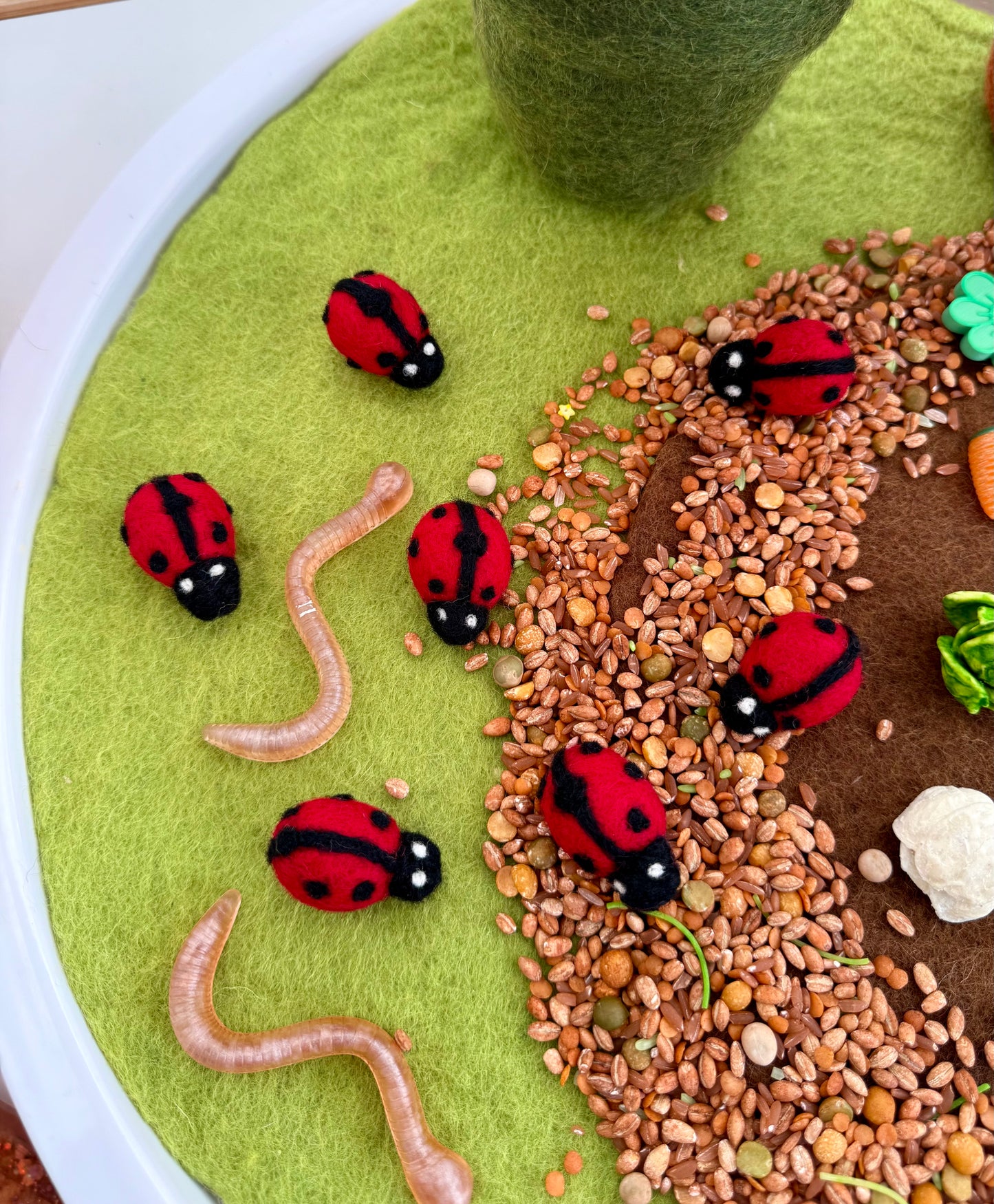 Felt Lady bird