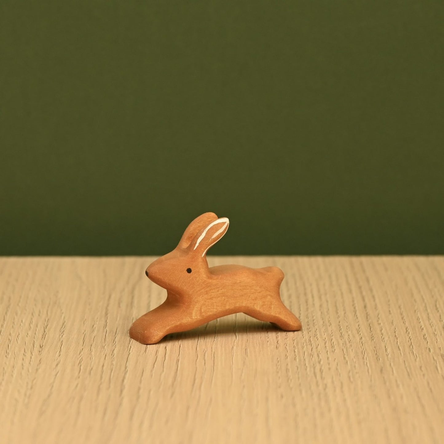 Rabbit running