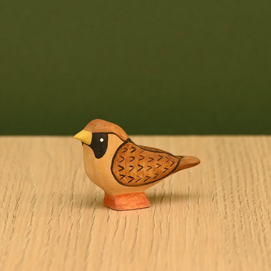 Sparrow