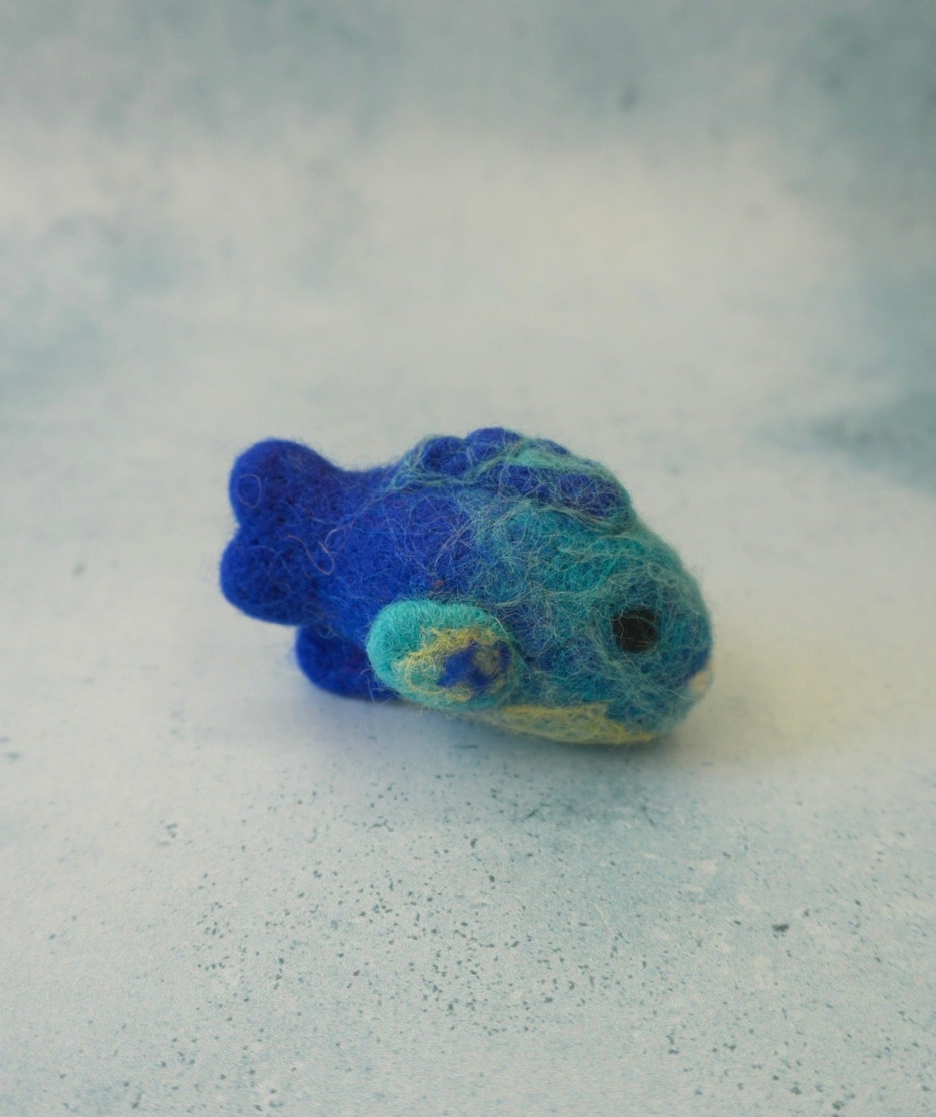 Blue felt Parrotfish