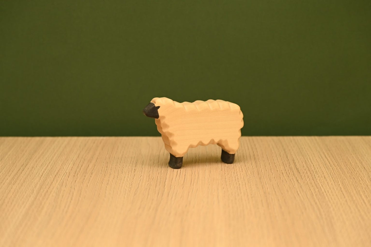 Sheep standing