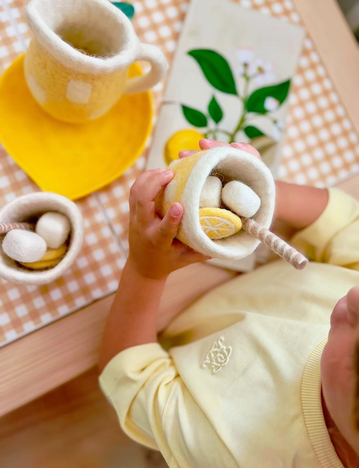 Felt Lemonade jug and cup set