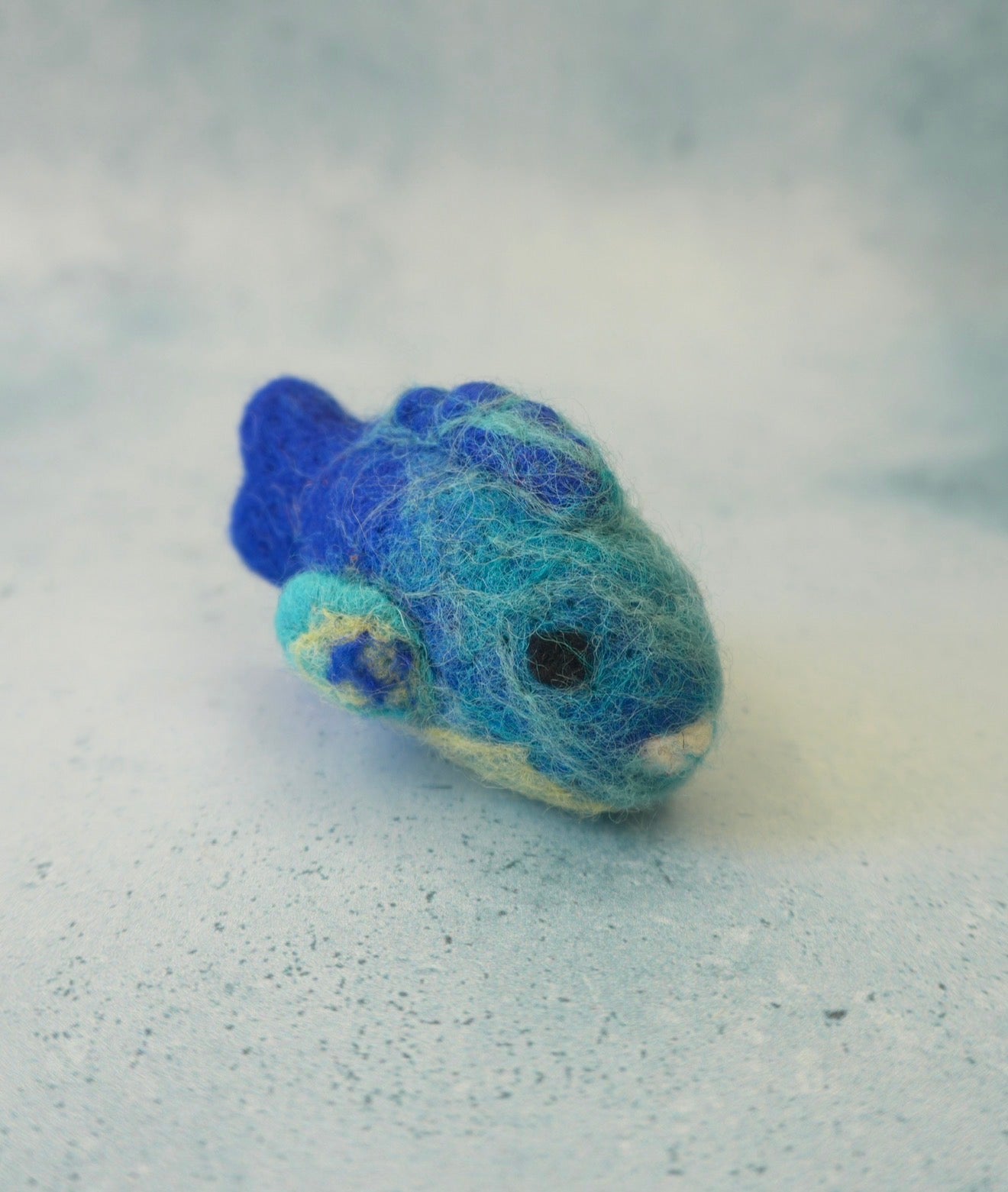 Blue felt Parrotfish