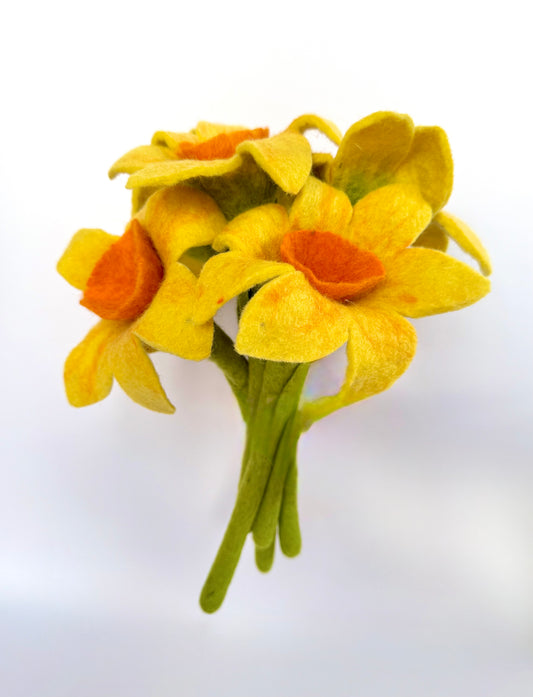 Yellow Daffodil