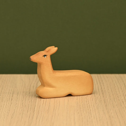Deer lying