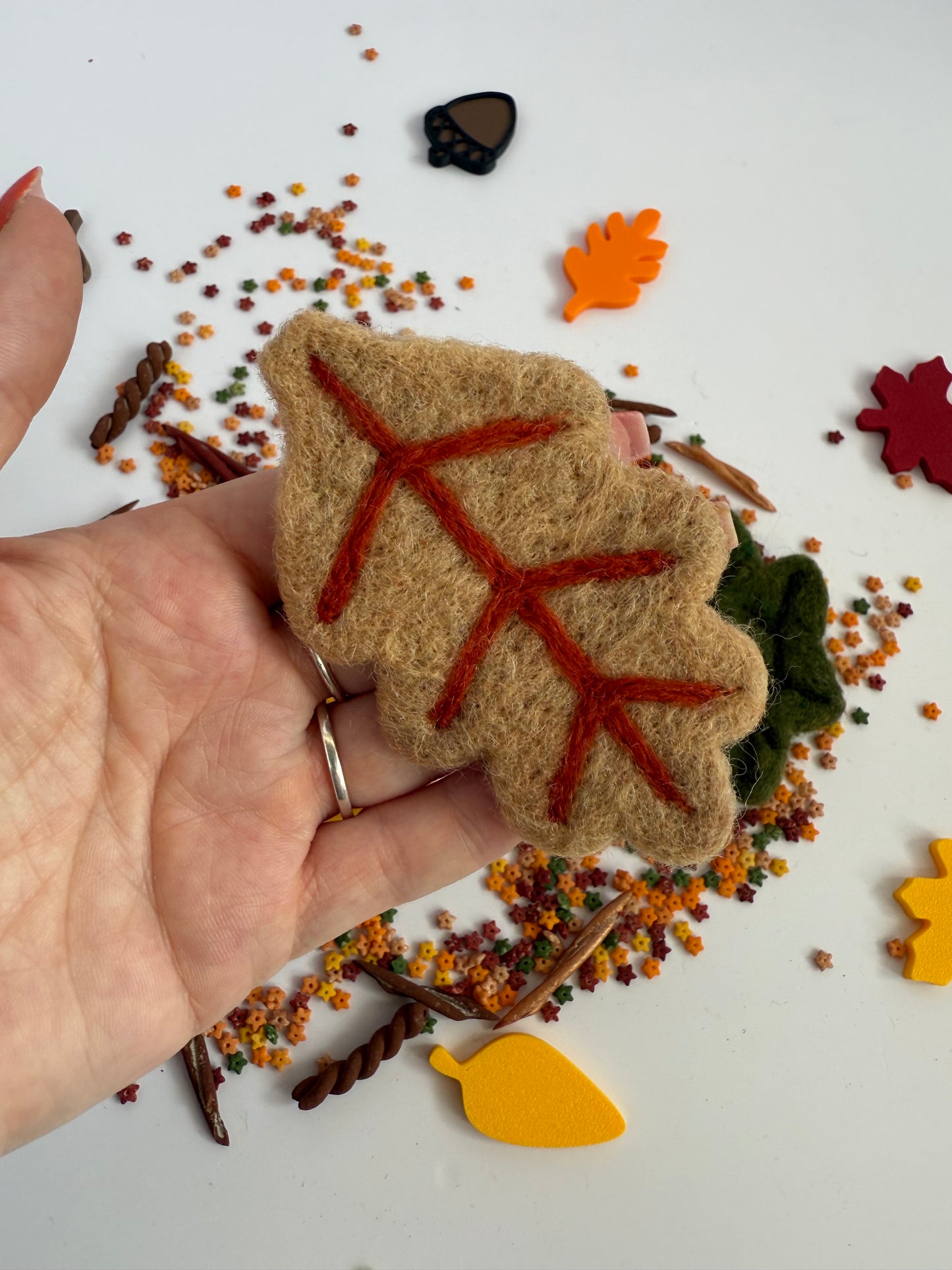 Autumn leaves set