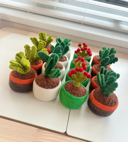 Potted plants