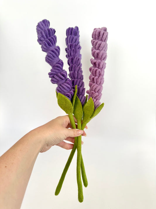 Lavender