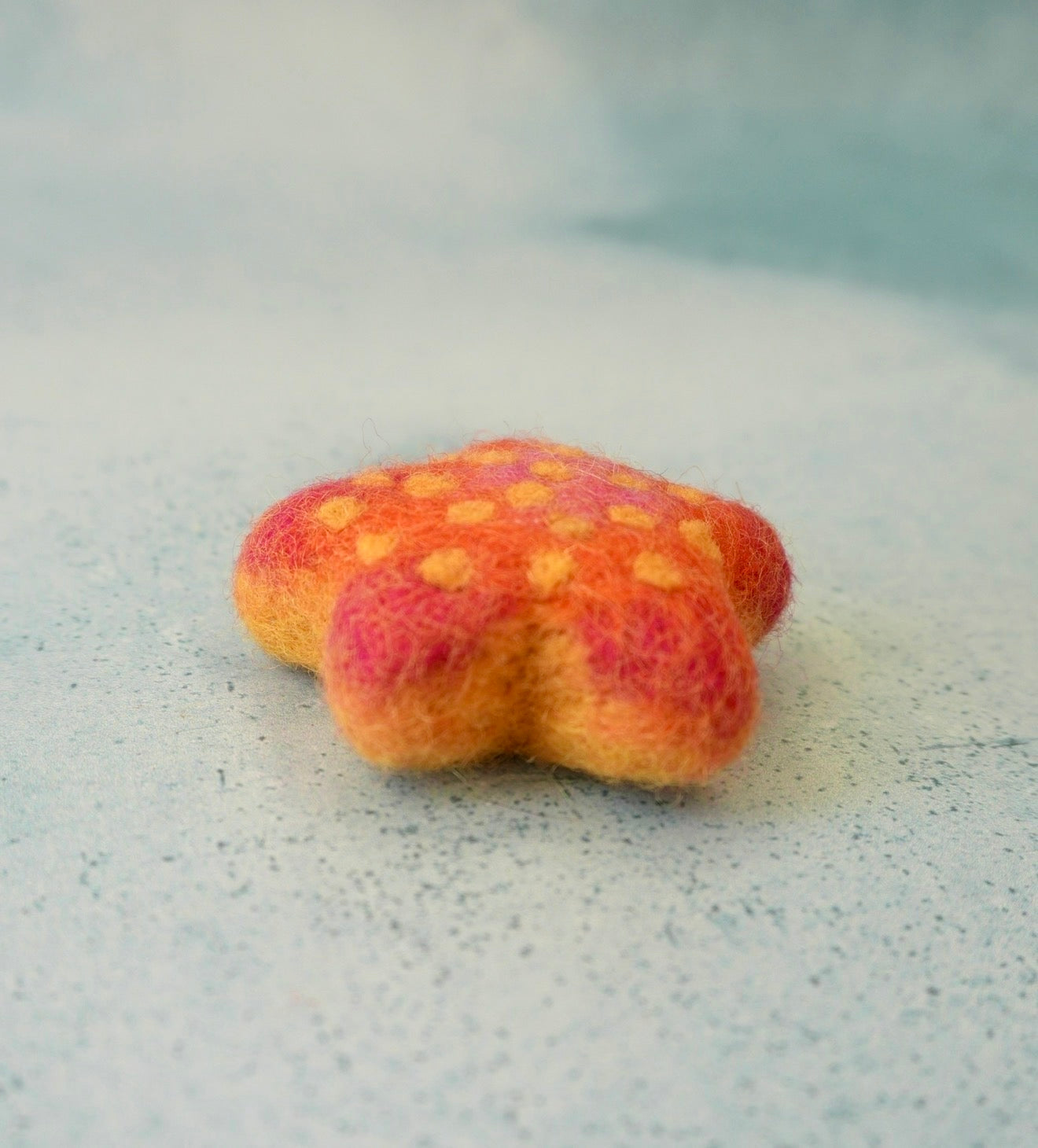 Felt star fish