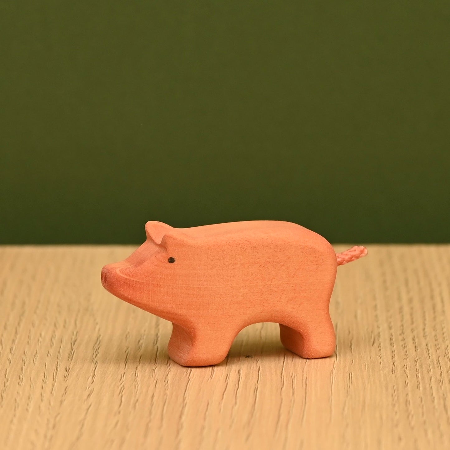 Piglet standing
