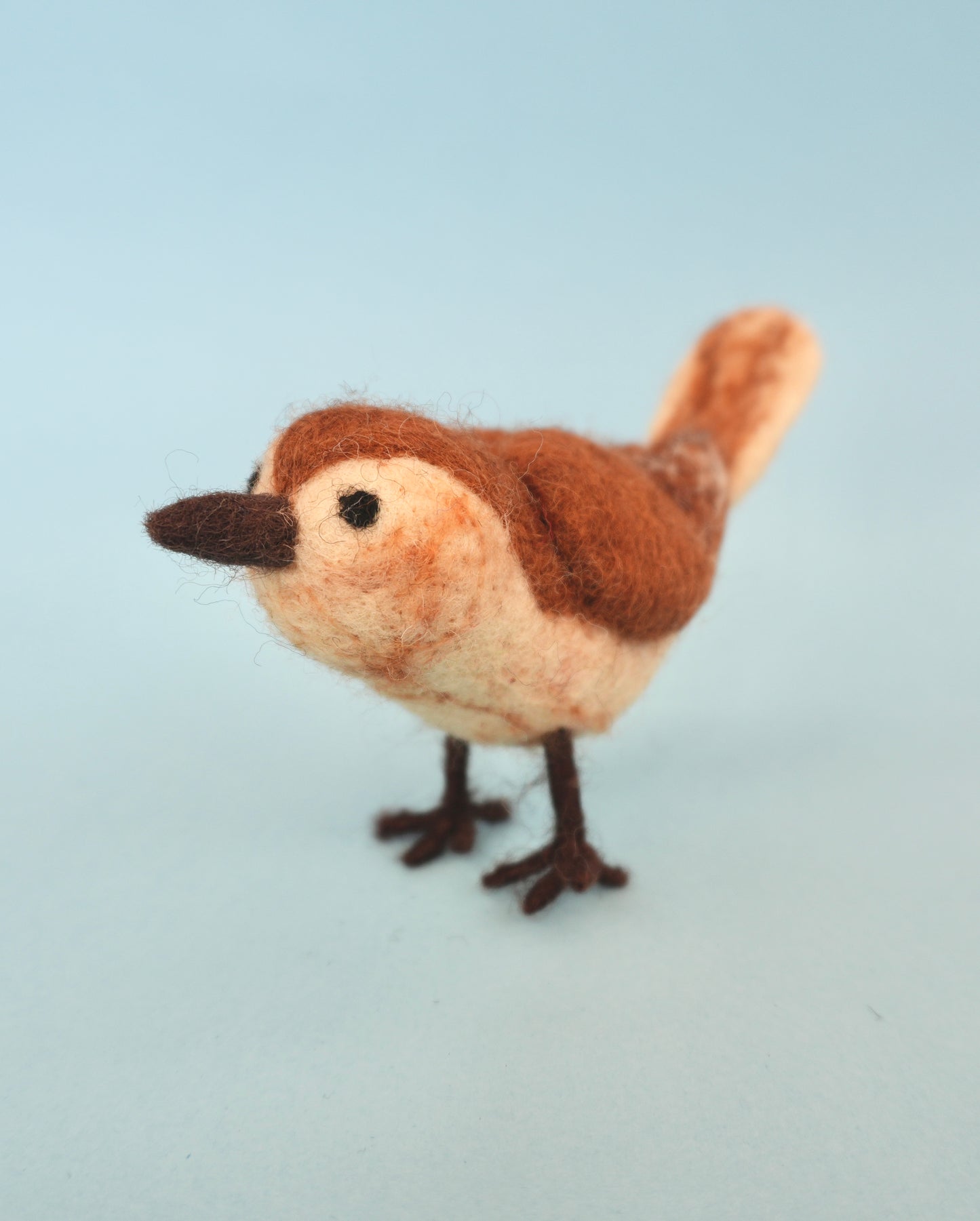 Felt Wren