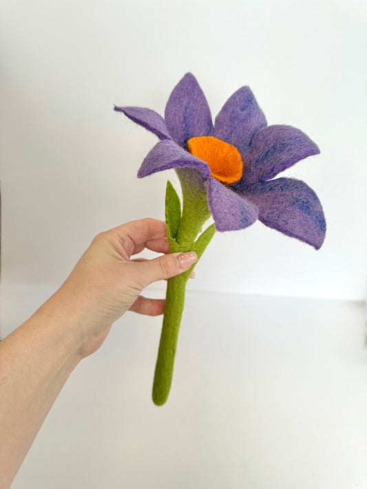 Purple Daffodil