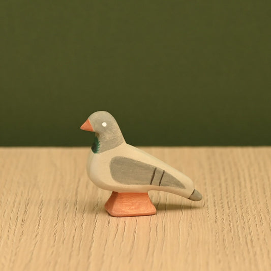 Pigeon