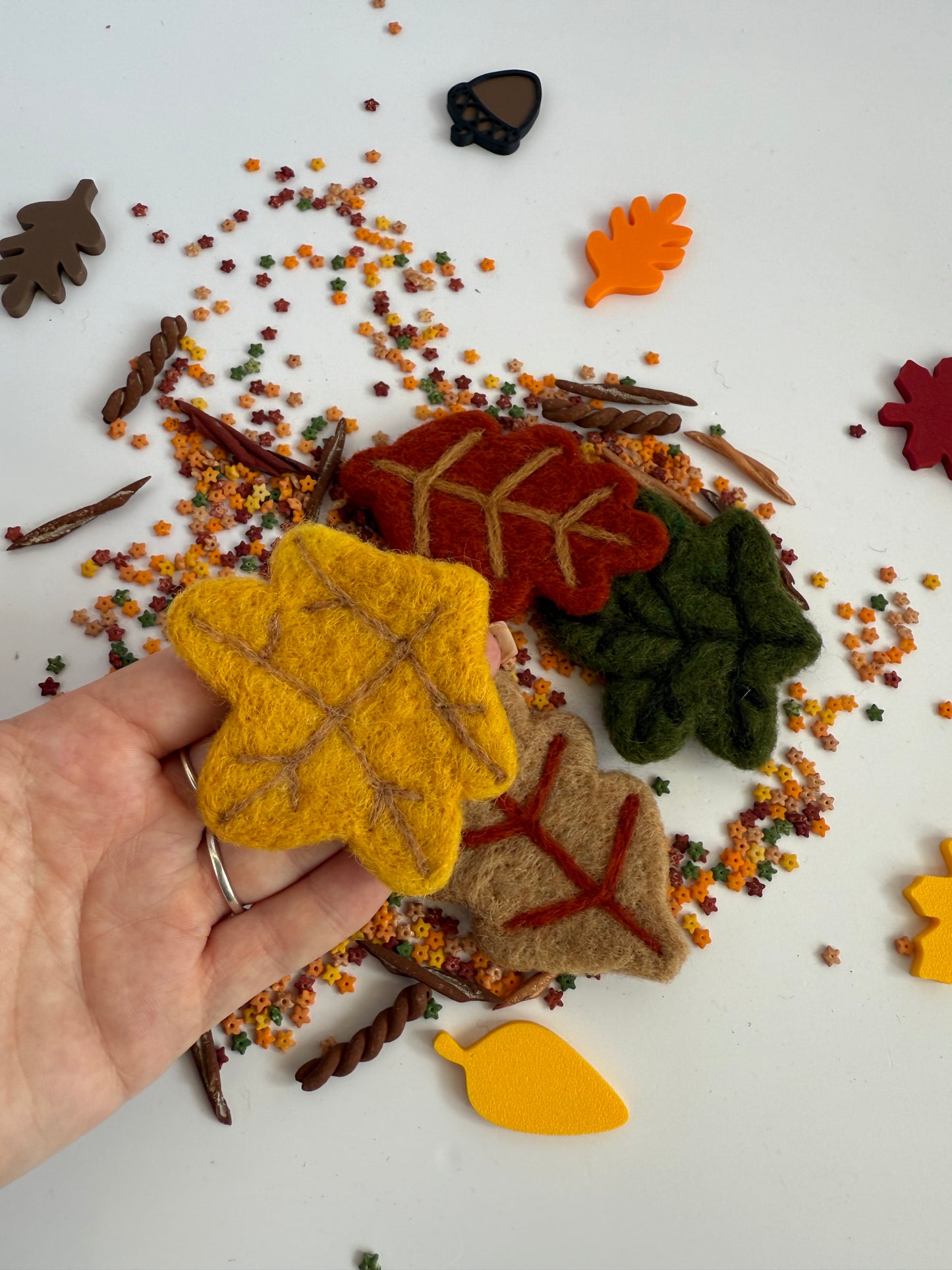 Autumn leaves set