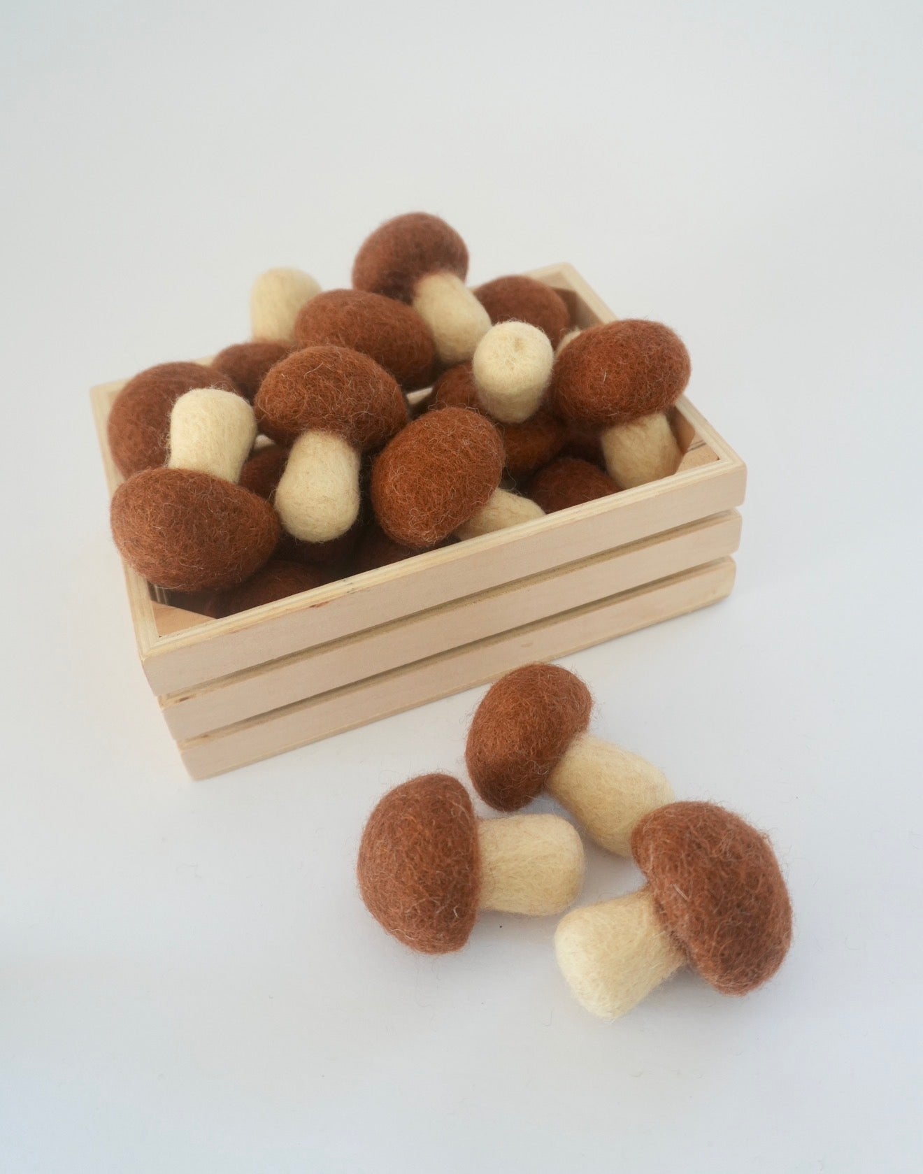 Felt Mushrooms set of 3
