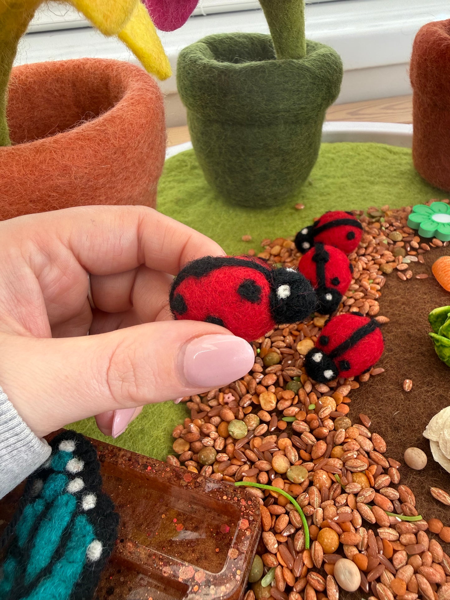 Felt Lady bird