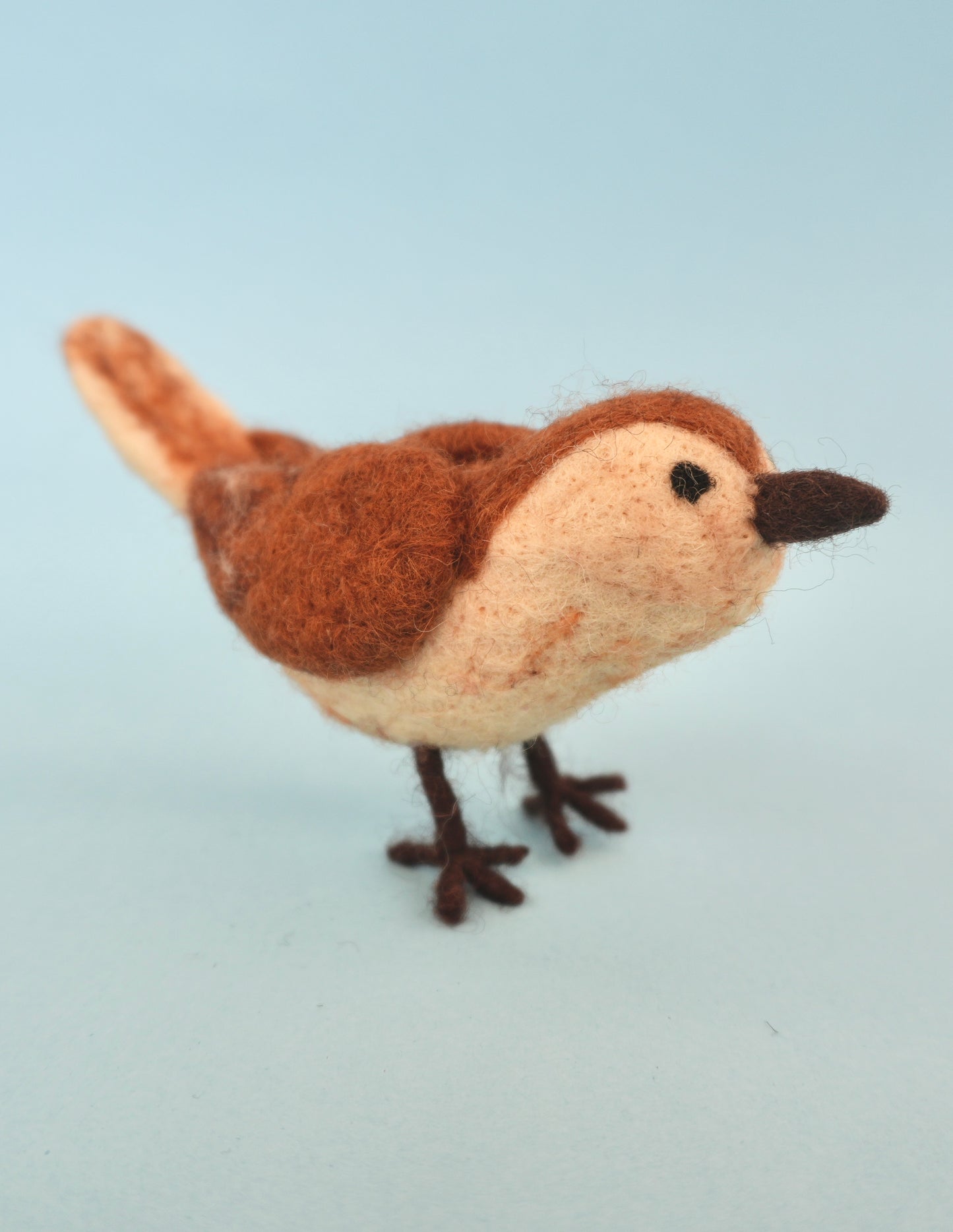 Felt Wren