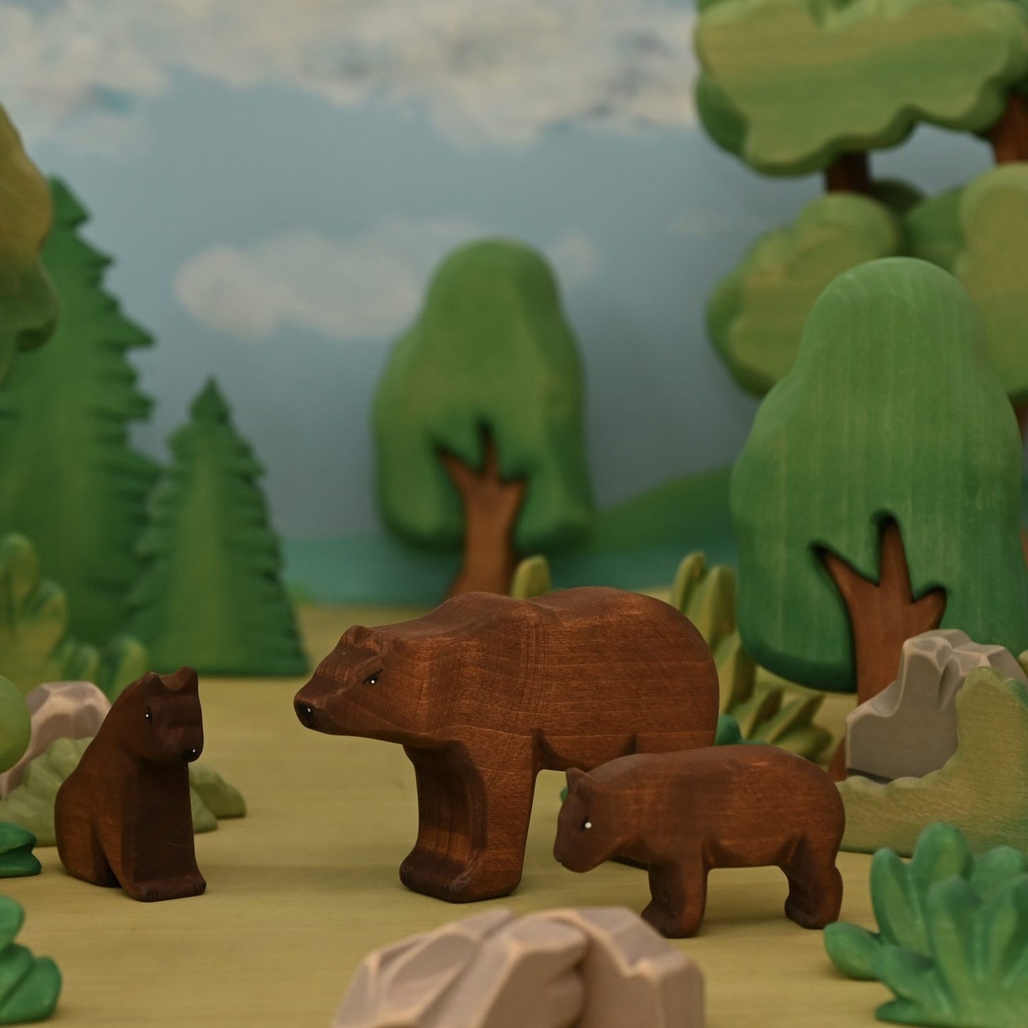 Bear cub