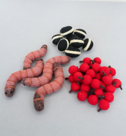 Felt bird food set