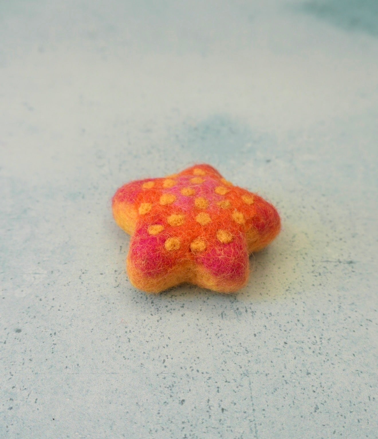 Felt star fish